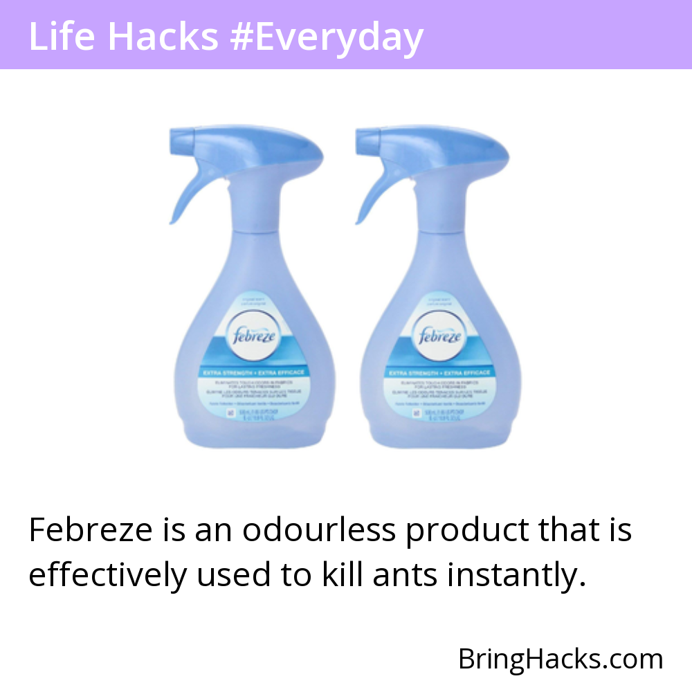 Life Hacks - Febreze is an odourless product that is effectively used to kill ants instantly.