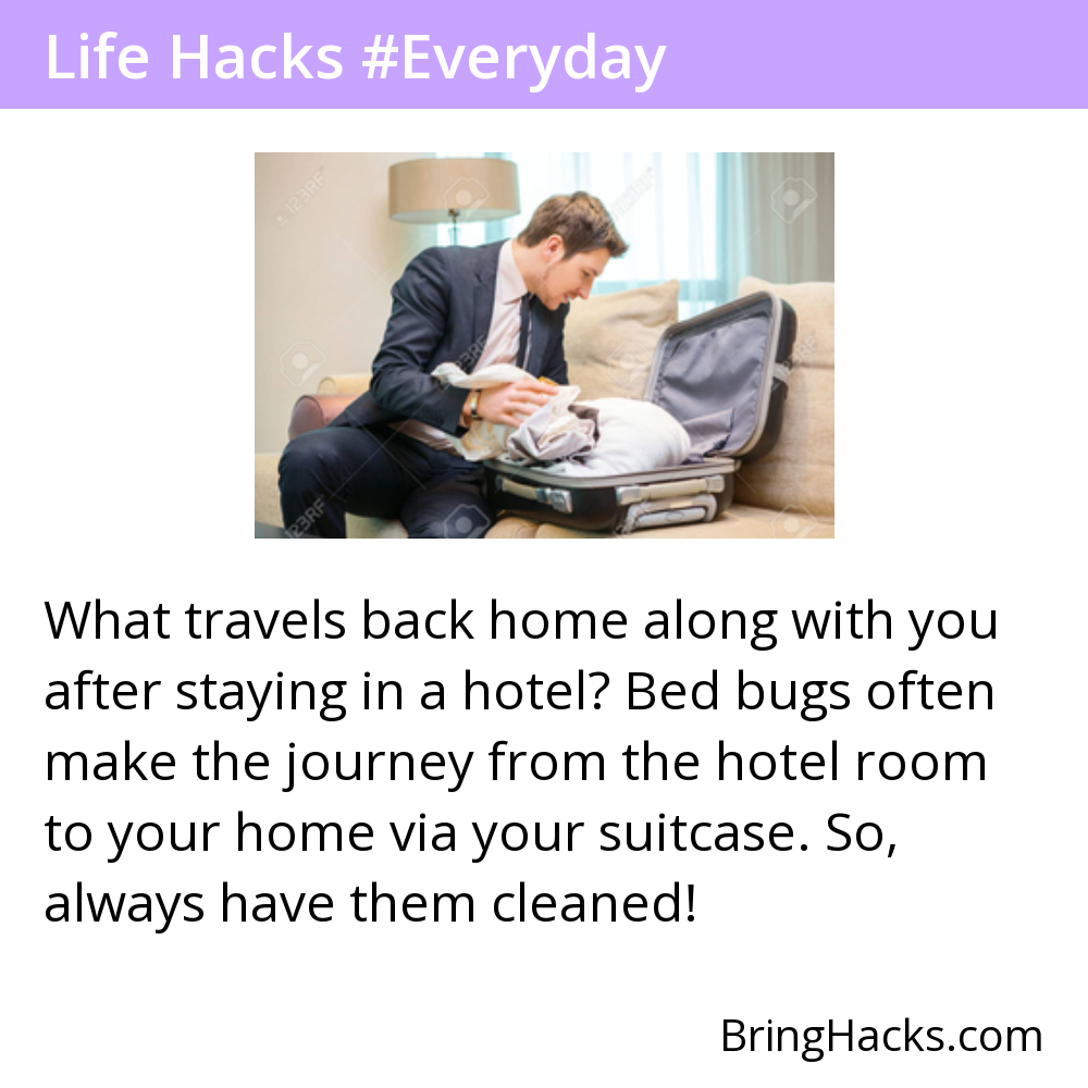 Life Hacks - What travels back home along with you after staying in a hotel? Bed bugs often make the journey from the hotel room to your home via your suitcase. So, always have them cleaned!