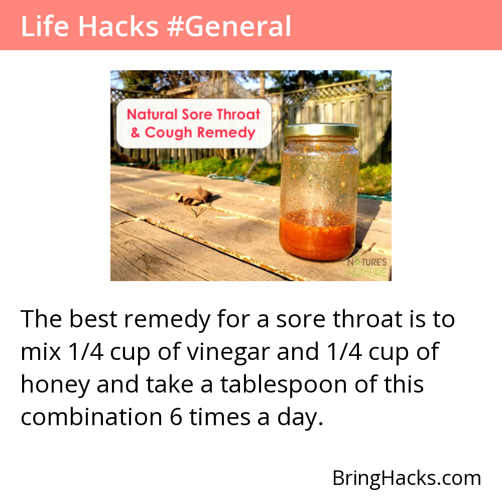 Life Hacks 3 in General - The best remedy for a sore throat is to mix 1/4 cup of vinegar and 1/4 cup of honey and take a tablespoon of this combination 6 times a day.