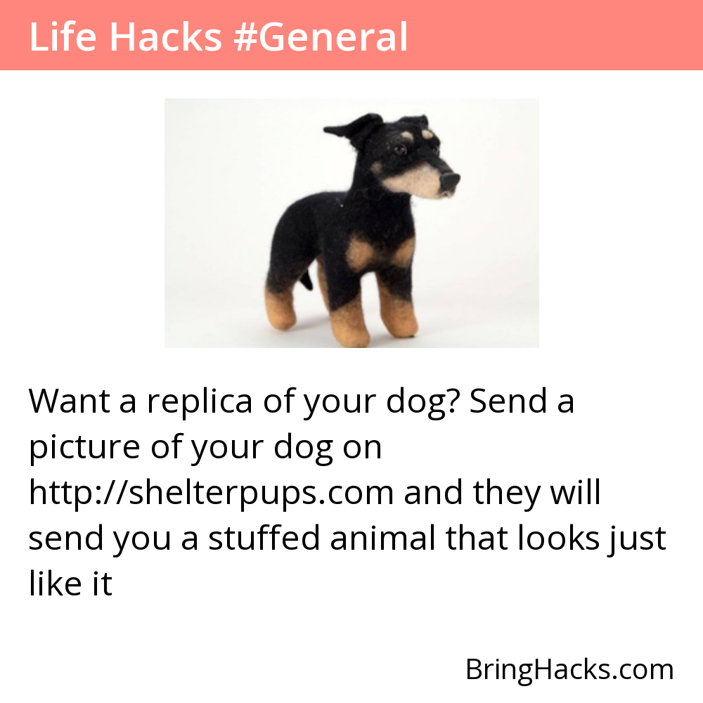 Life Hacks: Want a replica of your dog? Send a picture of your dog on http://shelterpups.com and they will send you a stuffed animal that looks just like it