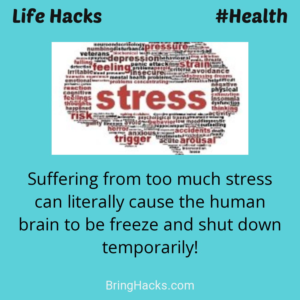 Life Hacks 46 in Health - Suffering from too much stress can literally cause the human brain to be freeze and shut down temporarily!