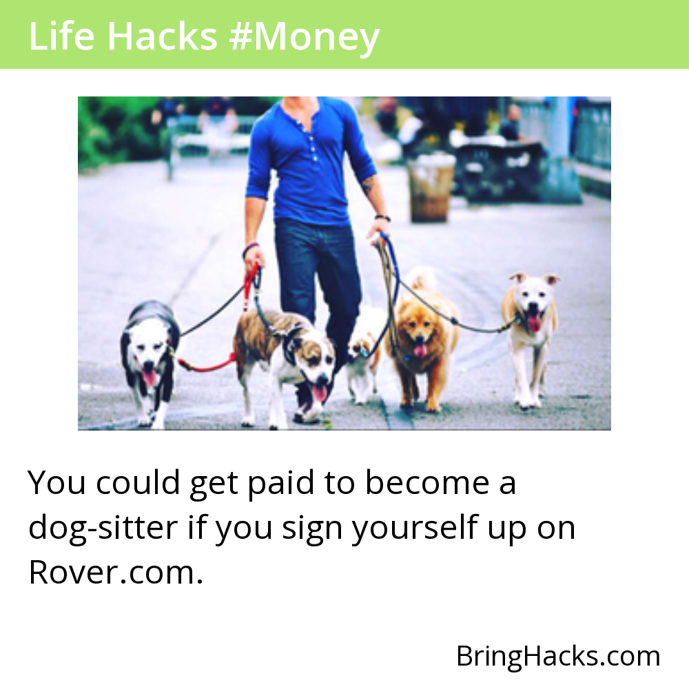 Life Hacks 46 in Money - You could get paid to become a dog-sitter if you sign yourself up on Rover.com.